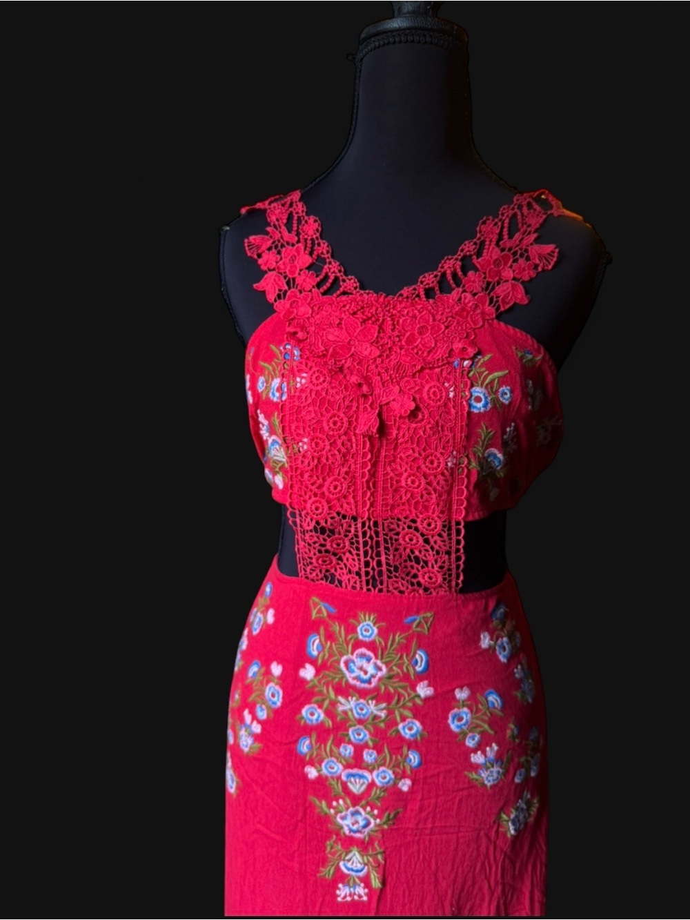Lulumari Red Floral Maxi Dress with Lace Bodice